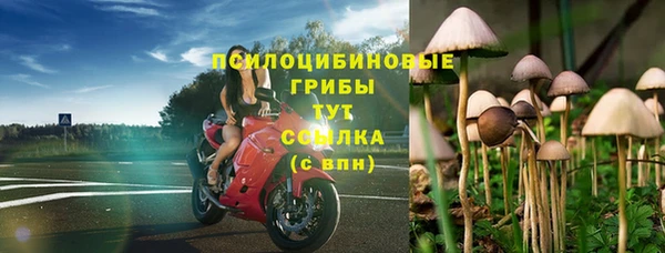 mdpv Бугульма
