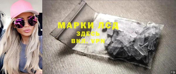 ГАЛЛЮЦИНОГЕННЫЕ ГРИБЫ Инсар