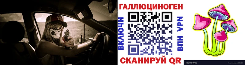 Псилоцибиновые грибы Psilocybe Новосокольники